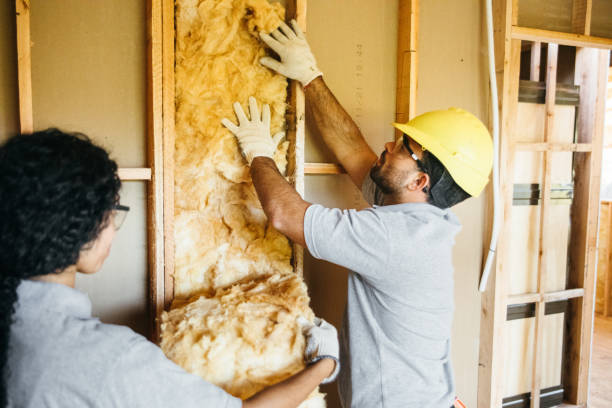 Best Insulation Air Sealing  in Birngham, MI